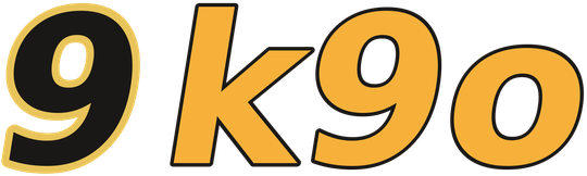 9k9o logo